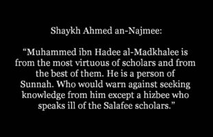 Who would warn against Muhammed ibn Hadee except a Hizbee.