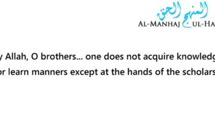 Bats of the internet – By Shaykh Sulaymaan Ar-Ruhaylee