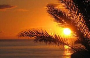 Forgiving Other Muslims For Their Wrongdoings – Abu Idrees Muhammad