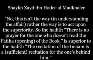 The Connivery of the Rafidha