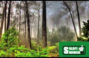A Reminder About Yawmul Qiyamah – Abu Muhammad al-Maghribee