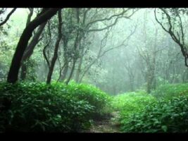 Ikhlaas And Seeking Knowledge Of The Deen – Anwar Wright