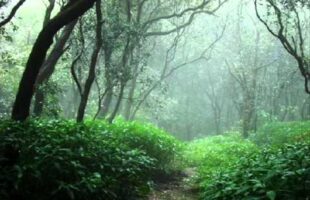 Ikhlaas And Seeking Knowledge Of The Deen – Anwar Wright