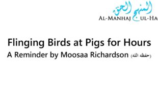 Flinging Birds at Pigs for Hours – A Reminder by Moosaa Richardson