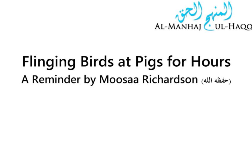 Flinging Birds at Pigs for Hours – A Reminder by Moosaa Richardson