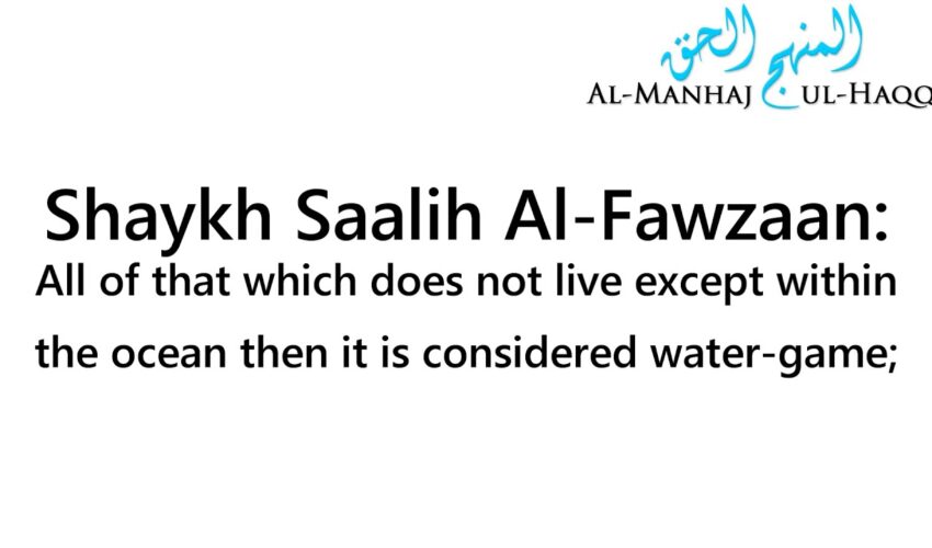Is Eating Dolphin and Shark Permissible? – By Shaykh Saalih Al-Fawzaan