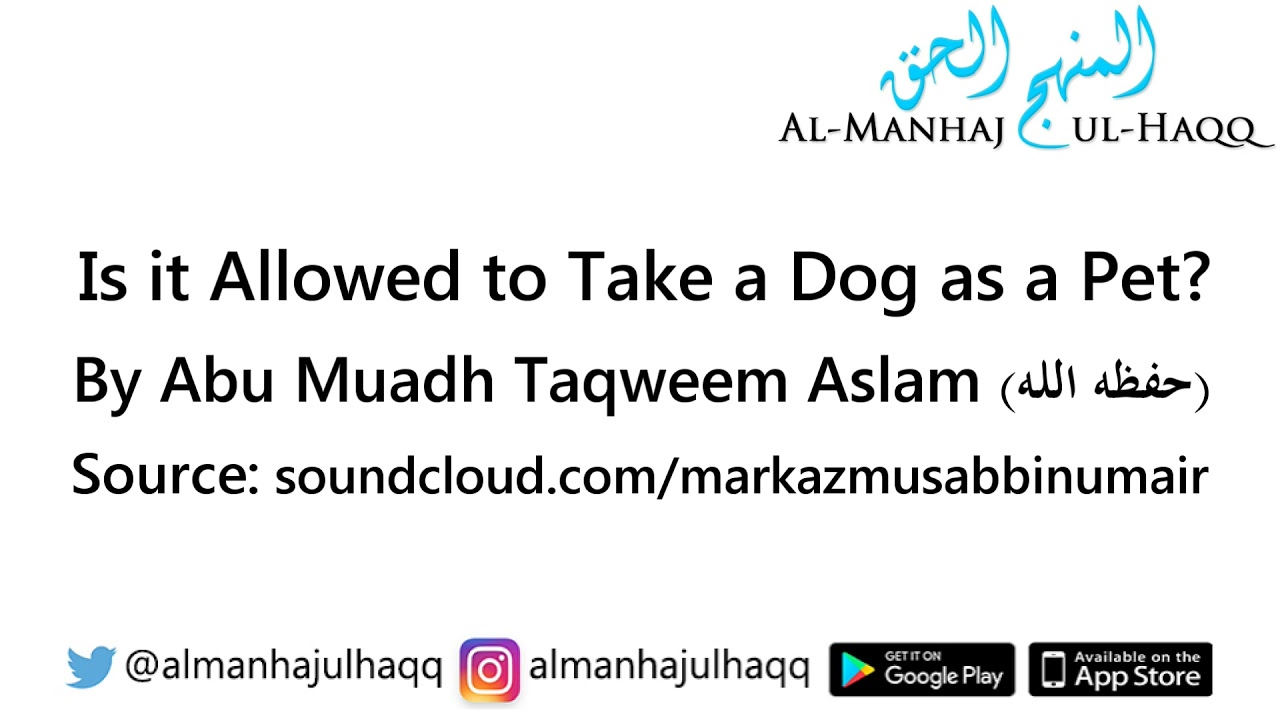 Is it allowed to take a dog as a pet? – By Abu Muadh Taqweem Aslam