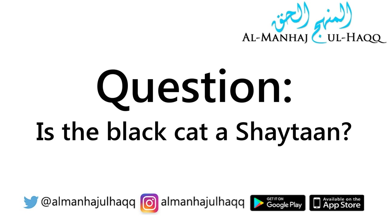 Is the Black Cat a Shaytaan? – By Shaykh Al-Albaanee