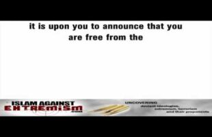 Islam Does NOT Condone Terrorism! Oh Muslims Openly Free Yourselves!