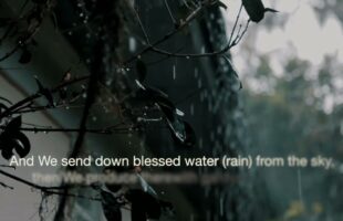 Ponder, it may change your life forever.