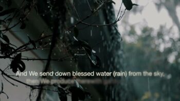 Ponder, it may change your life forever.