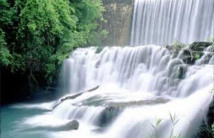 Remaining Silent About Falsehood Like Tongueless Devils – Abu Hasan Malik