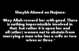 She wants to Marry a Married Man | Shaykh Ahmed ibn Yahya an-Najmee