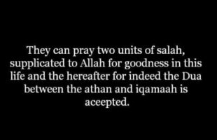 Sitting Outside the Masjid After the Athan | Shaykh Zayd al-Madkhalee