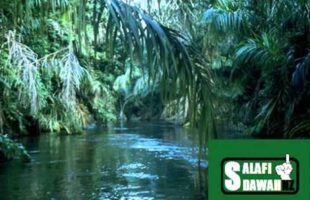 Sticking to the Scholars – Abu Uwaiys