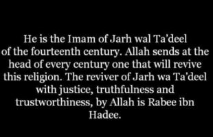 The Imam of Jarh wal Ta’deel is Rabee ibn Hadee | Shaykh Muhammed ibn Abdul Wahhab al-Bannah