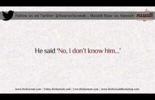 Woe to you who Insults Shaykh Muhammad al-Jaami | Shaykh Saalih as-Suhaymee