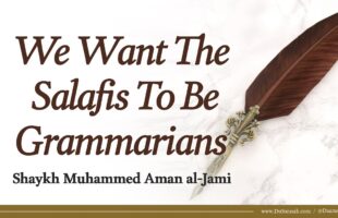 We Want The Salafis To Be Grammarians | Shaykh Muhammed Amaan Al Jaami