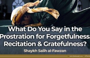 What Do You Say in the Prostration for Forgetfulness, Recitation & Gratefulness? | Shaykh al-Fawzan