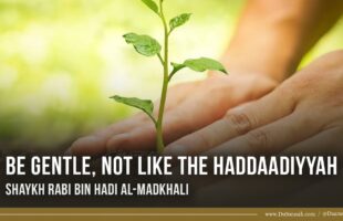 Be Gentle, Not Like The Haddaadiyyah | Shaykh Rabi bin Hadi al-Madkhali