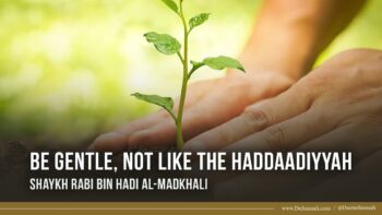 Be Gentle, Not Like The Haddaadiyyah | Shaykh Rabi bin Hadi al-Madkhali