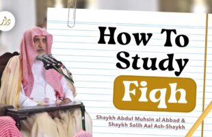 How To Study Fiqh | Shaykh Abdul Muhsin al Abbad & Shaykh Salih Aal Ash-Shaykh