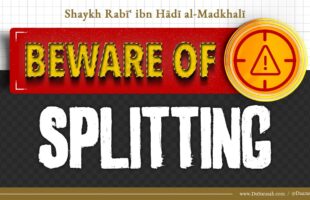 Shaykh Rabee Al-Madkhali Warning Against Splitting