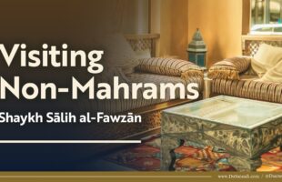 Sitting With Opposite Gender | Shaykh Salih al-Fawzan