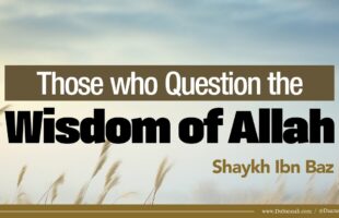 Those who Question the Wisdom of Allah | Shaykh Ibn Baz